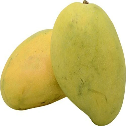 Chaunsa Mango