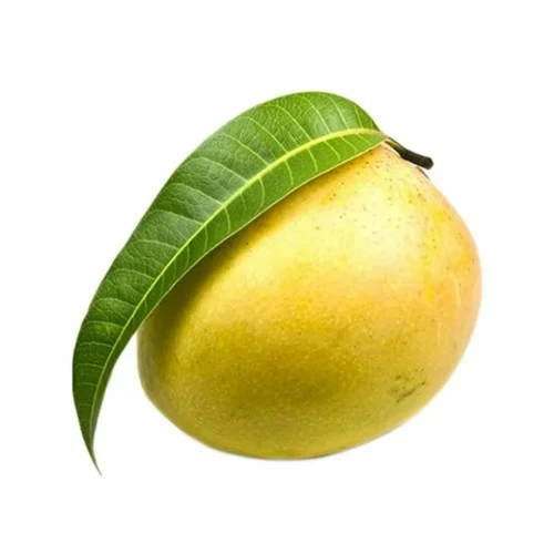 Himsagar Mango